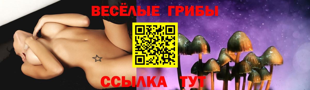 Псилоцибиновые грибы Psilocybe  Галлюциногенные грибы Psilocybine cubensis  Прокопьевск  Вход с VPN 
